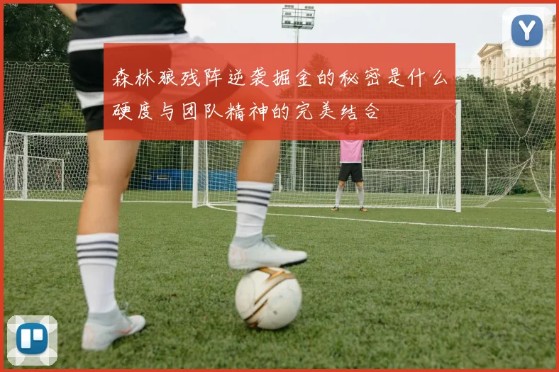 森林狼残阵逆袭掘金的秘密是什么硬度与团队精神的完美结合